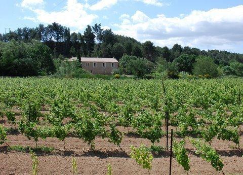 Mailhac Domaine De "Creva-Tinas" Bed & Breakfast エクステリア 写真